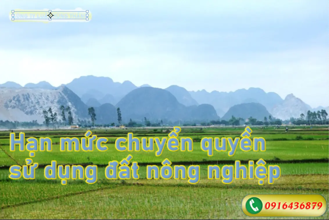 Hạn mức chuyển quyền sử dụng đất nông nghiệp
