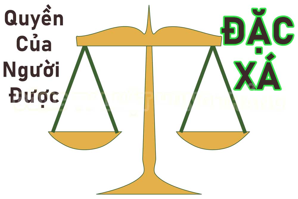 Pháp luật quy định quyền của người đặc xá, nghĩa vụ của người được đặc xá ra sao?