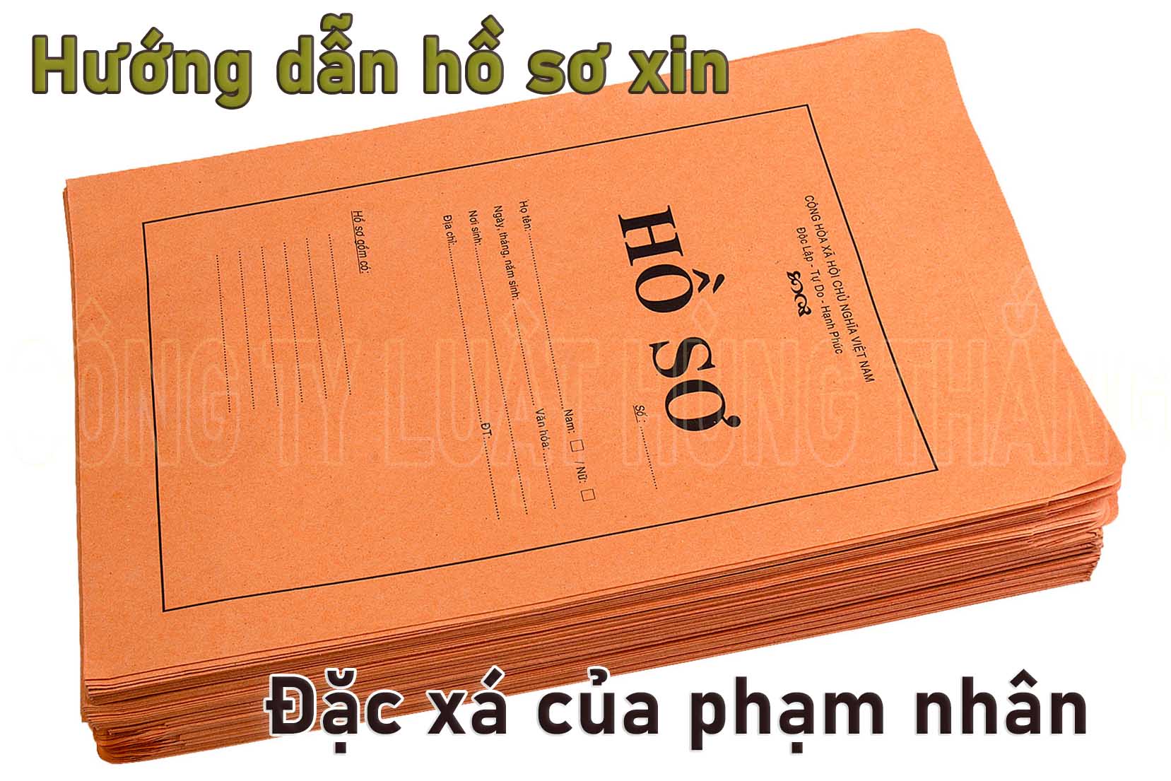 Hướng dẫn hồ sơ xin đặc xá của phạm nhân