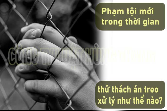 Phạm tội mới trong thời gian thử thách xử lý thế nào?