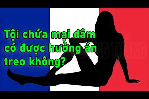 Tội chứa mại dâm có được hưởng án treo không?