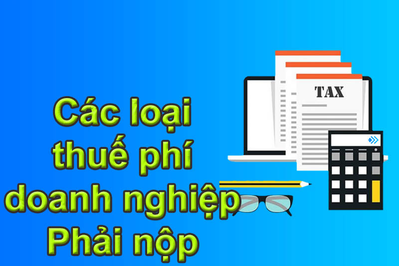 Các loại thuế mà doanh nghiệp phải nộp năm 2021