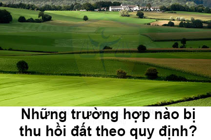 Những trường hợp nào bị thu hồi đất theo quy định?