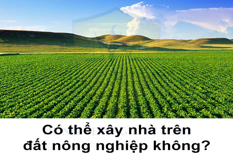 Có thể xây nhà trên đất nông nghiệp không?