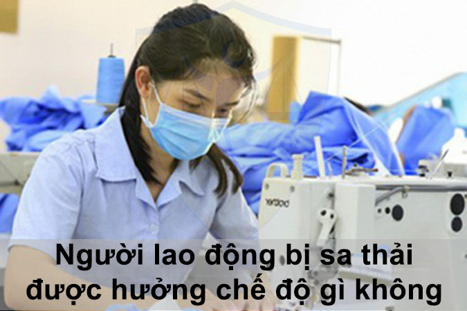Người lao động bị sa thải được hưởng chế độ gì không?