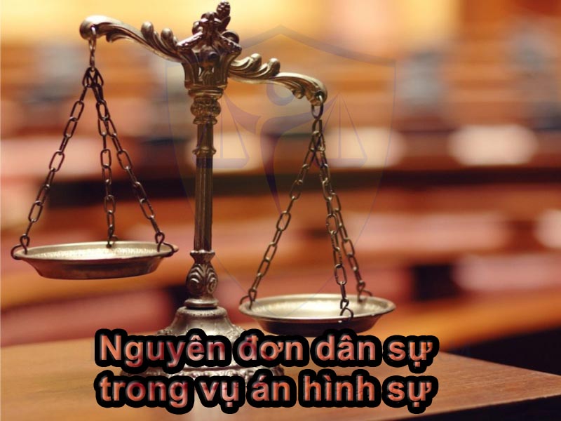 Nguyên đơn dân sự trong vụ án hình sự
