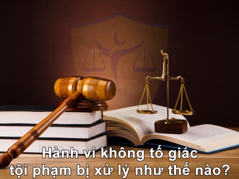 Hành vi không tố giác tội phạm bị xử lý như thế nào?