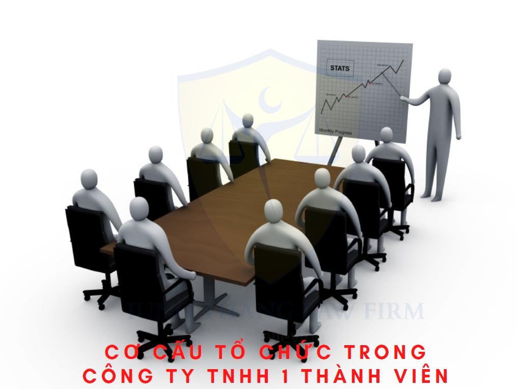 Cơ cấu tổ chức quản lý công ty TNHH 1 thành viên