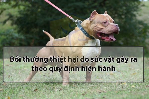 Bồi thường thiệt hại do súc vật gây ra theo quy định hiện hành