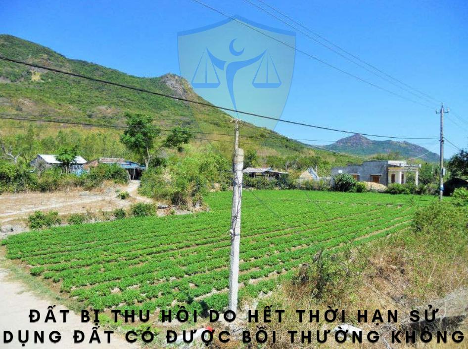Đất thu hồi do hết thời hạn sử dụng có được bồi thường không?