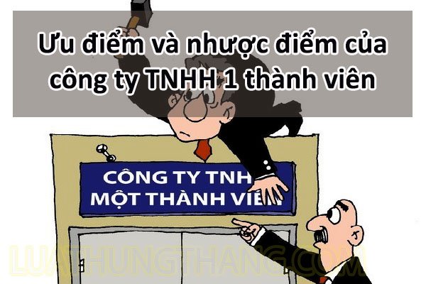 Ưu điểm và nhược điểm của công ty TNHH 1 thành viên
