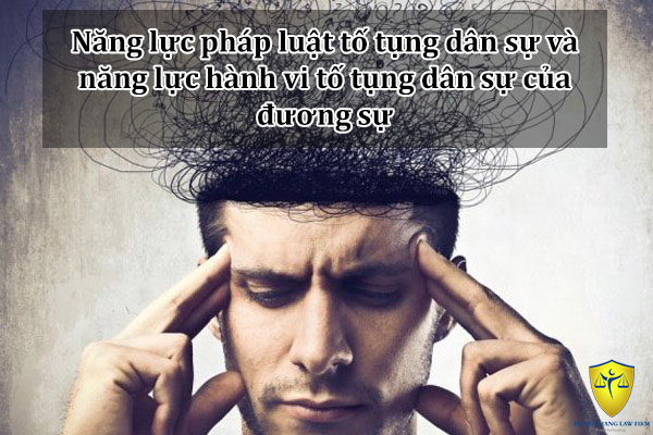 Năng lực pháp luật tố tụng dân sự và năng lực hành vi tố tụng dân sự của đương sự
