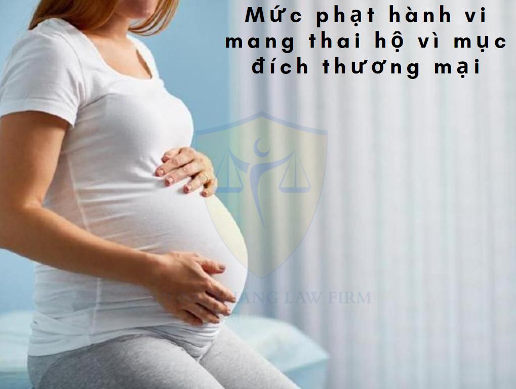 Mức phạt hành vi mang thai hộ vì mục đích thương mại