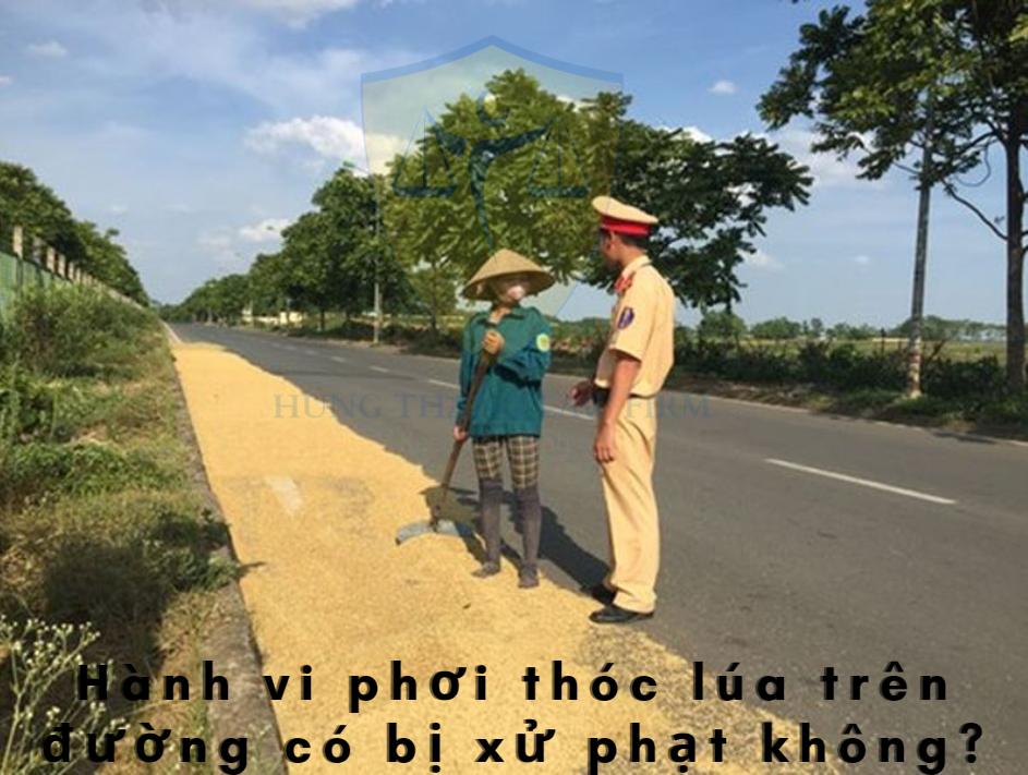 Hành vi phơi thóc lúa trên đường có bị xử phạt không?