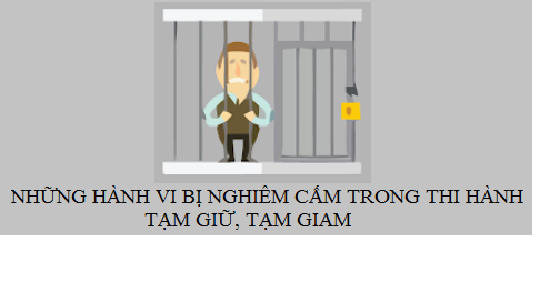 Những Hành Vi Bị Nghiêm Cấm Trong Khi Thi Hành Tạm Giữ, Tạm Giam