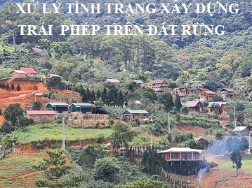 Xử lý tình trạng xây dựng công trình trái phép trên đất rừng?