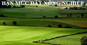 Hạn mức giao đất nông nghiệp cho cá nhân, hộ gia đình