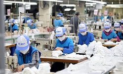 Hỗ trợ người lao động bị mất việc do dịch COVID-19