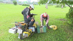Hành vi kích điện diệt giun đất bị xử lý thế nào?