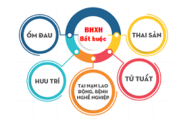 Bảo hiểm xã hội cho lao động người nước ngoài