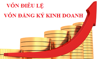 Vốn đăng ký kinh doanh là gì?