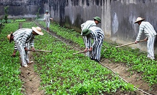 Quy định chấp hành án phạt cải tạo không giam giữ
